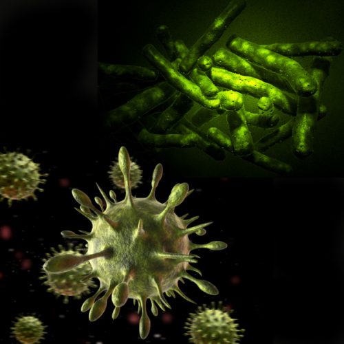 bacterien envirussen