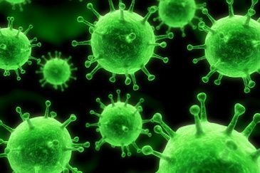 virus