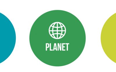 Q-Flow People Planet Profit