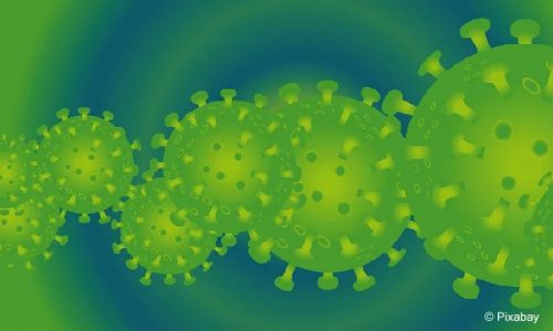 coronavirus