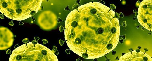 coronavirus Wuhan